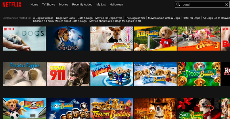 Illustration for article titled Netflix tries to start shit on National Cat Day by releasing a trailer for a Dogs docu-series